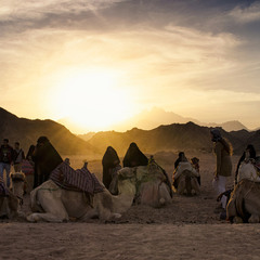 В гостях у бедуинов