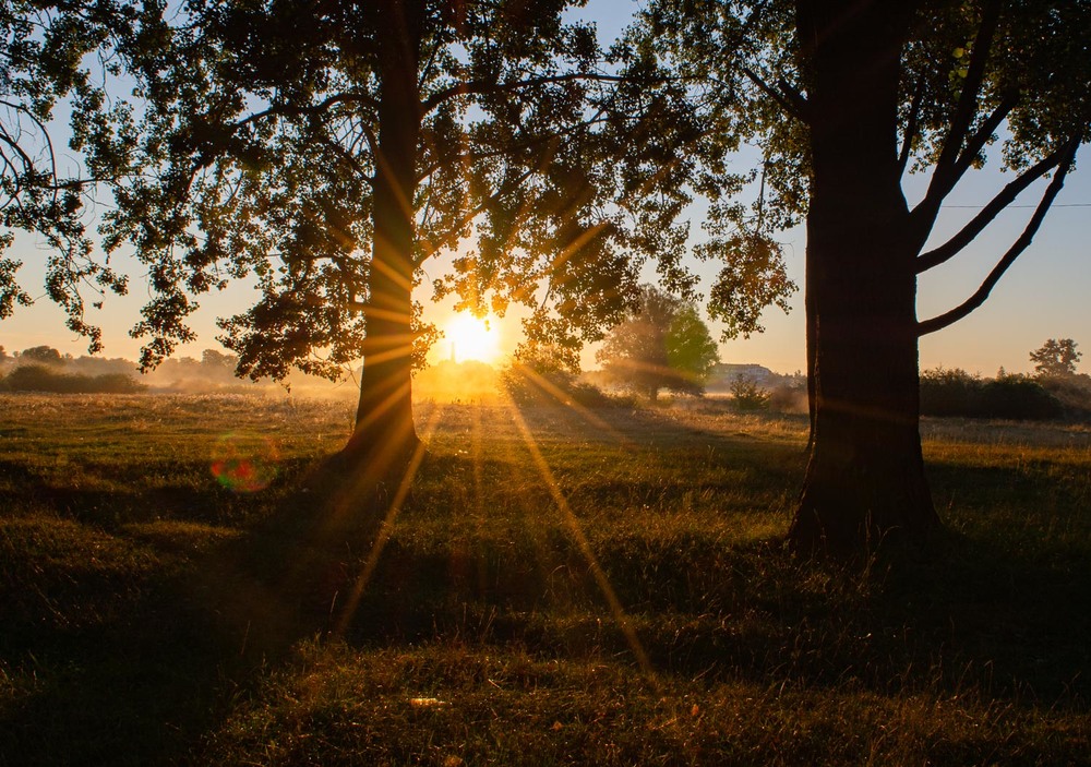 время церемонии фотографирование на рассвете были
