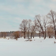 Принакрилося озеро сніжною периною...