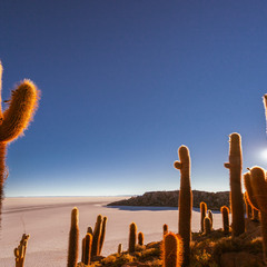 В утренних лучах...Остров Инкауаси...Боливия!