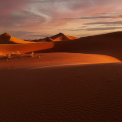 Вечерело.Одинокий путник...Пустыня Сахара.Марокко!