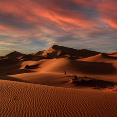 Пустыня Сахара.Марокко!