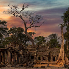 Утренний Ангкор-Ват...Камбоджа!