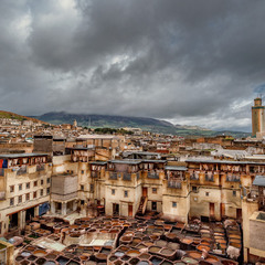 Кожаные красильни города Фес...Марокко!