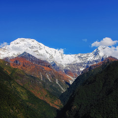 Гималаи...Непал!