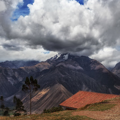 Альпака и горы Боливии...