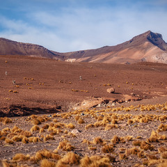 Путешествуя по Боливии...4800м над уровнем моря.