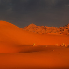 Закатные дюны...Марокко!