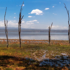 Озеро Найваша (Lake Naivasha)... Кения!