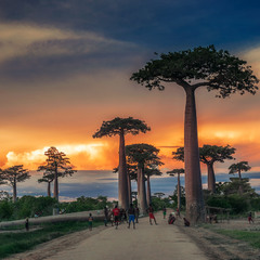 Закатные посиделки в долине баобабов...Мадагаскар!