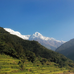 Гималайские зарисовки...Непал! (их архива).