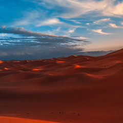 Перед закатом... Сахара... Марокко!