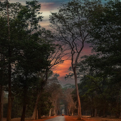 Утро в Ангкор-Ват... Камбоджа!