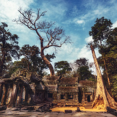 Ангкор-Ват...Камбоджа!