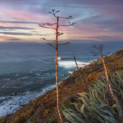 Десь на Тенеріфе... Канарські острови. Іспанія.