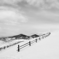 Black fence on White snow