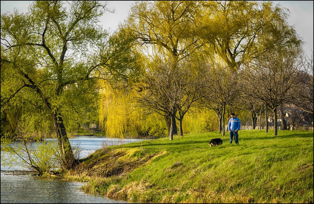 Весенняя прогулка картинки