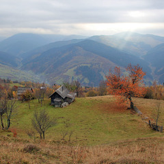 Вид з села Богдан на Мармароси
