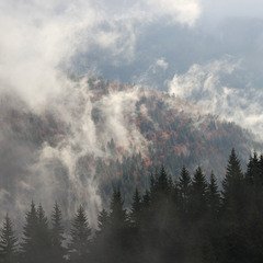 Осінні тумани Карпат