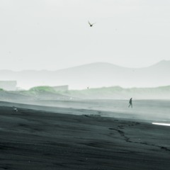 Пляж з чорного піску, Вік, Ісландія