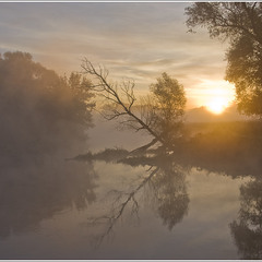 Утро на реке