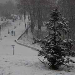 Пасмурная Зима в Киеве