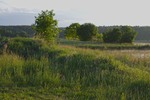 Ранок в травневих кольорах