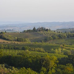 Тосканський краєвид