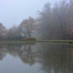 Ранок, осінь, пруд...