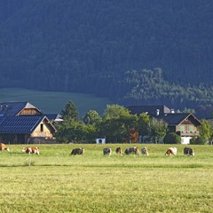 Утро в австрийской деревне