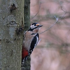 А що там у світі?