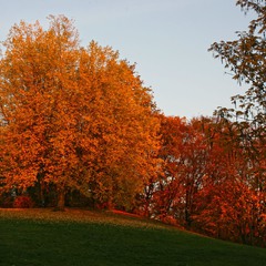 Осенний костер