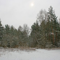 Зимний пейзажик