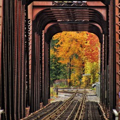 Тунель у осінь