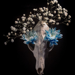 Flowers and skull