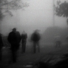 призраки в тумане