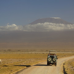 Дорога на Килиманджаро