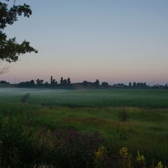 Утренний туман тихонько стелится над полем....