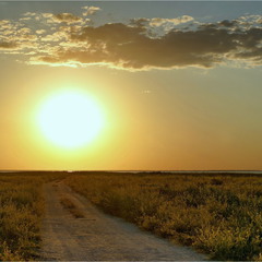 Road to the Sun 2