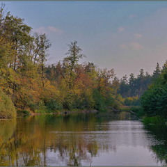 Лісове озеро(с В.Сорочинці)