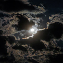 Місяць по небу ходить