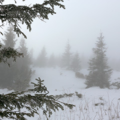 Холодный туман