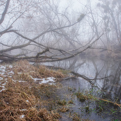 зимняя река