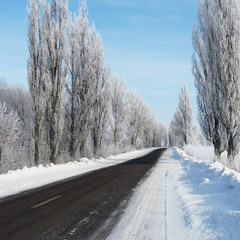 Дорога в зиму...