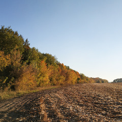 Жовтнева природа