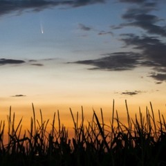C/2020 F3 (NEOWISE) над кукурузным полем :)