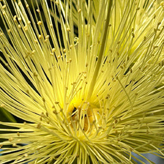 Весняний настрій