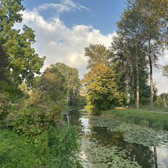 Ставок у парку Олександрія