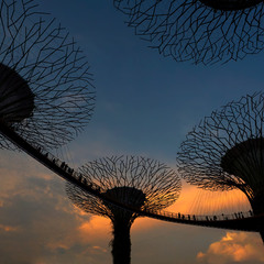 Сингапур. Прогулки между небом и землей