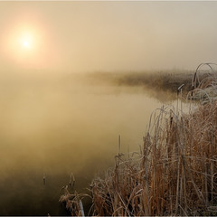 Smoke on the water